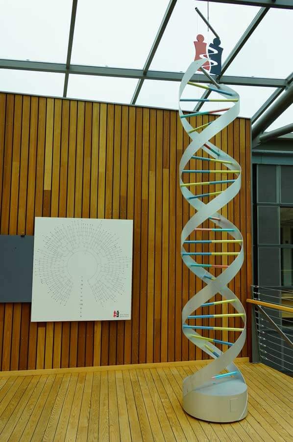 Firma Decode Genetics Firma Decode Genetics