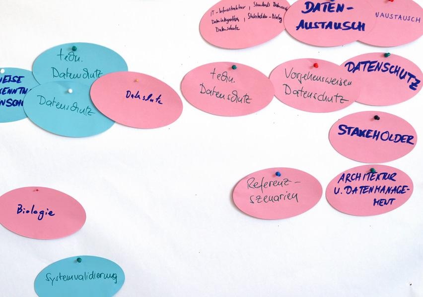 TMF-School 2017 Notizen von der TMF-School 2017
