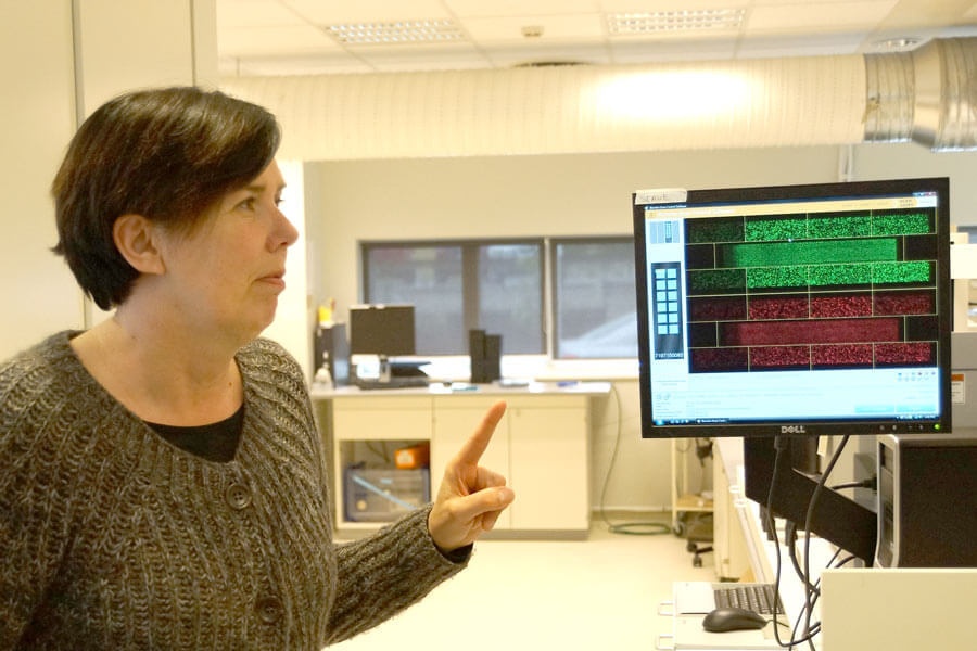 Thorsteinsdottir decode Genetics Thorsteinsdottir decode Genetics