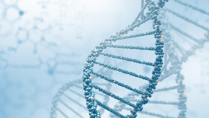 DNA Strang Shutterstock